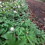 Hébergement de vacances De La Giroterie, Maison à La Campagne Au Calme, Vue Sur La Vallée
