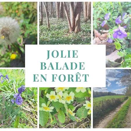 Semesterbostad Normand, A La Campagne, Au Calme Selles (Eure)