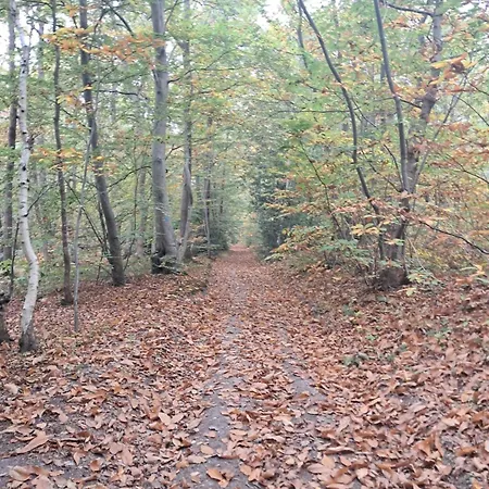 Maison à La Campagne, Au Calme Selles (Eure)