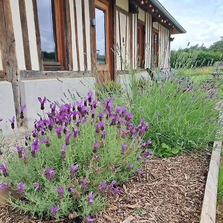 Normand, A La Campagne, Au Calme